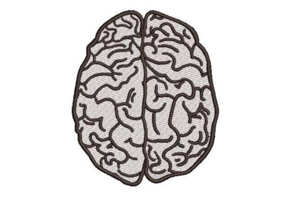 Human Brain Line Art Embroidery Review