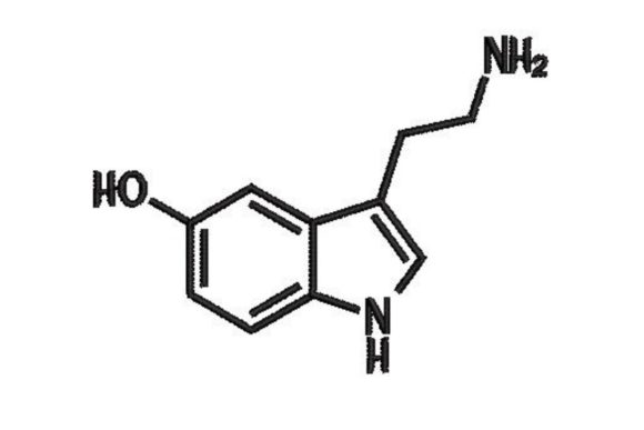 Serotonin Chemistry Symbol Embroidery Review